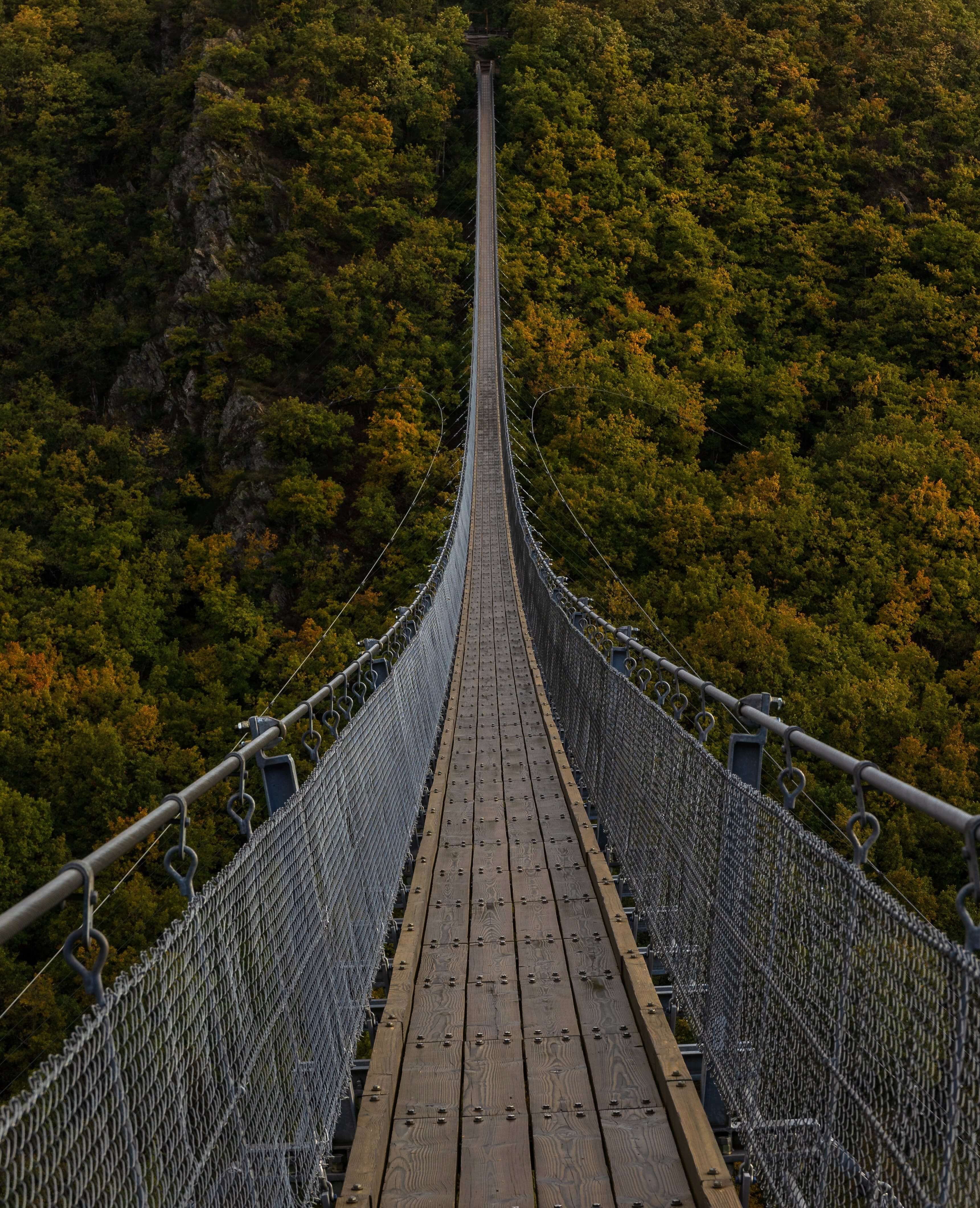 Illustration 'Forest Bridge'